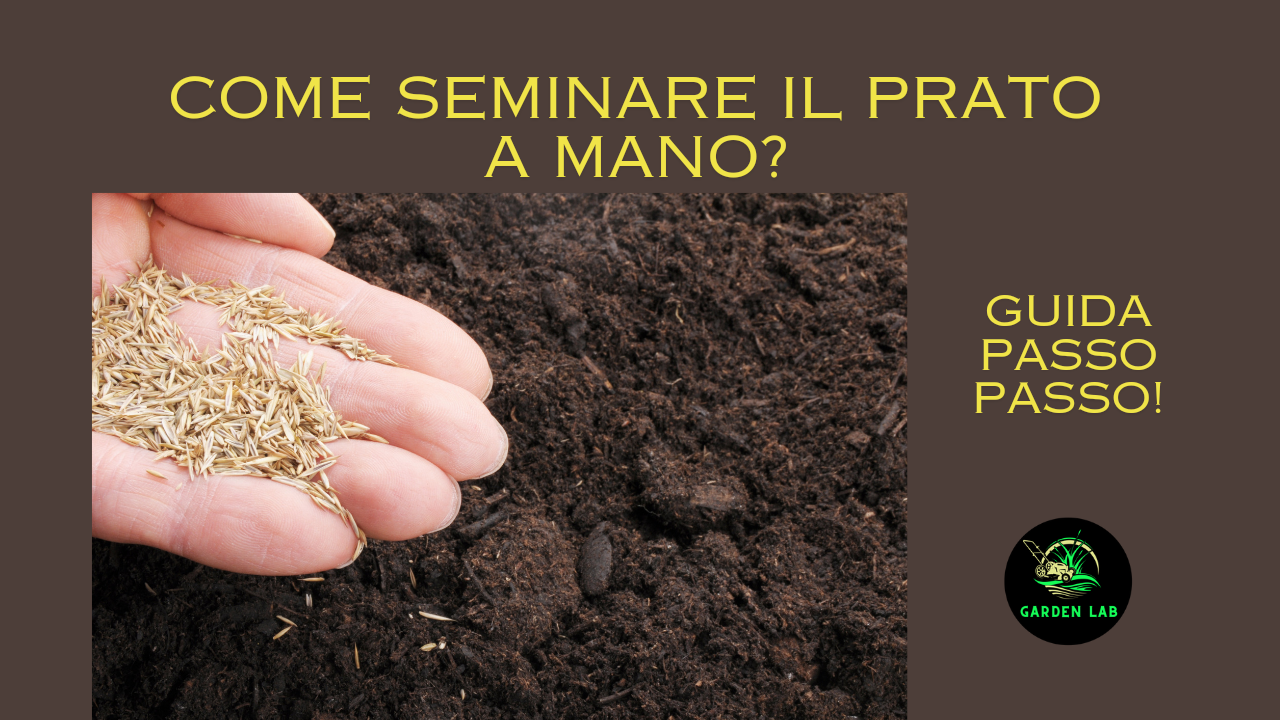 come seminare il prato a mano guida passo passo