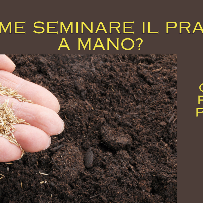 come seminare il prato a mano guida passo passo