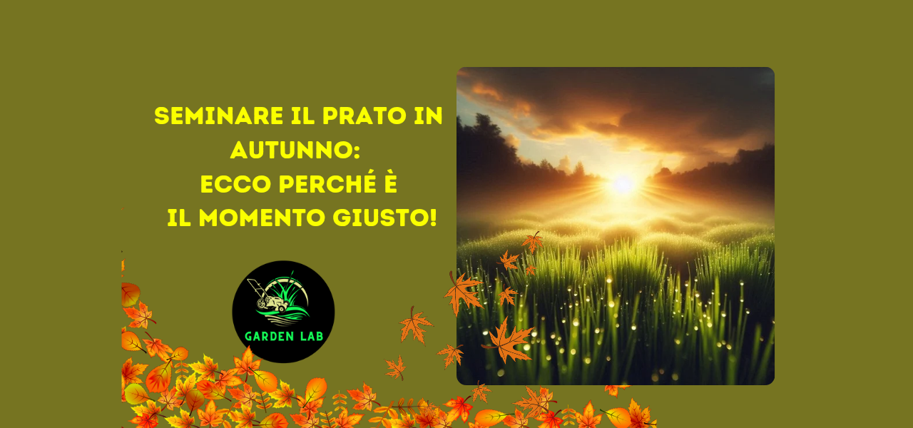 Seminare il prato in autunno: ecco perché è il momento giusto!