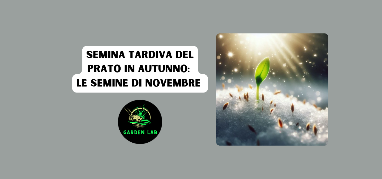 Semina Tardiva del Prato in Autunno: Le Semine di Novembre