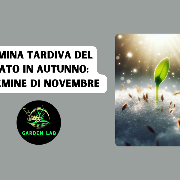 Semina Tardiva del Prato in Autunno: Le Semine di Novembre