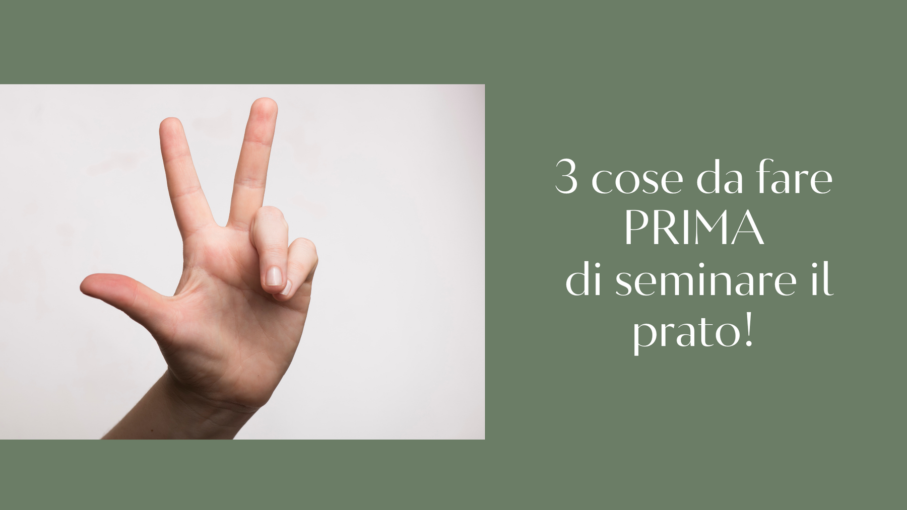 3 cose da fare prima di seminare il prato