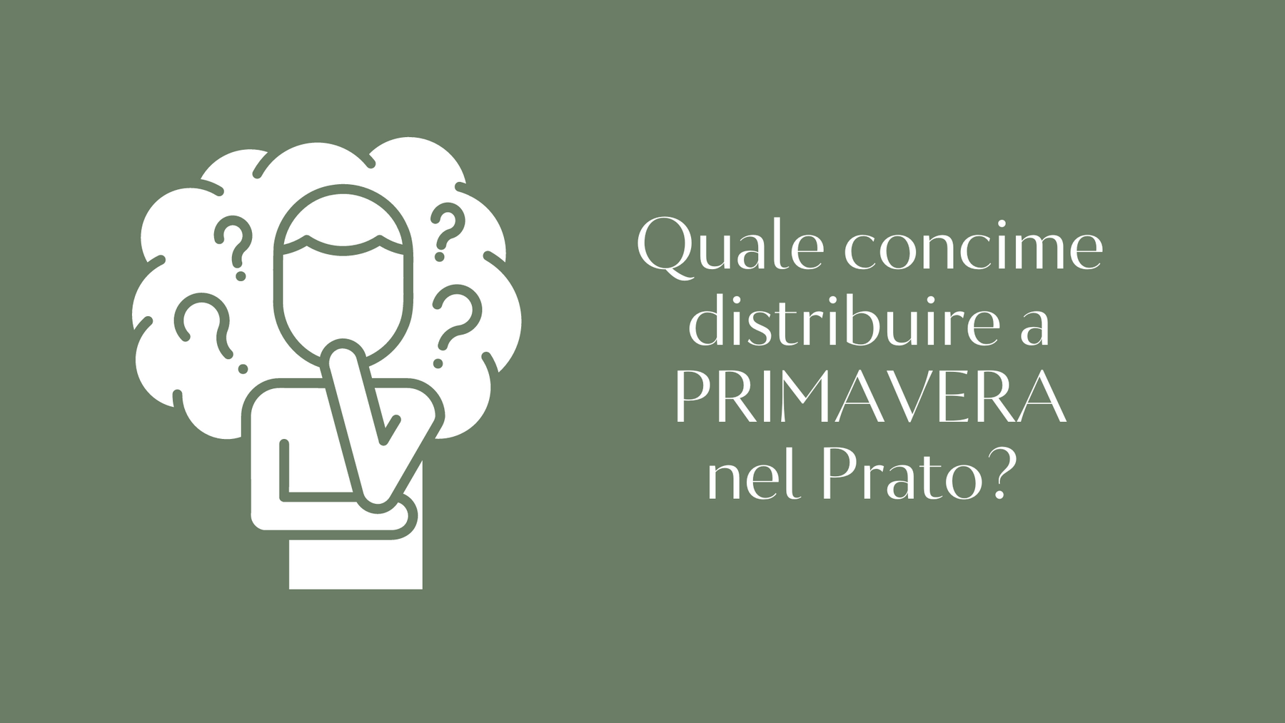 miglior concime per prato in primavera