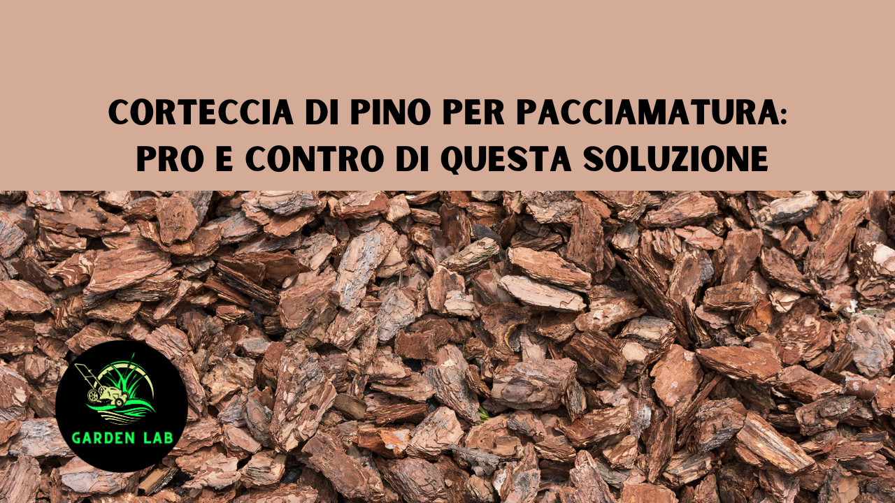 Corteccia di pino per pacciamatura: pro e contro di questa soluzione