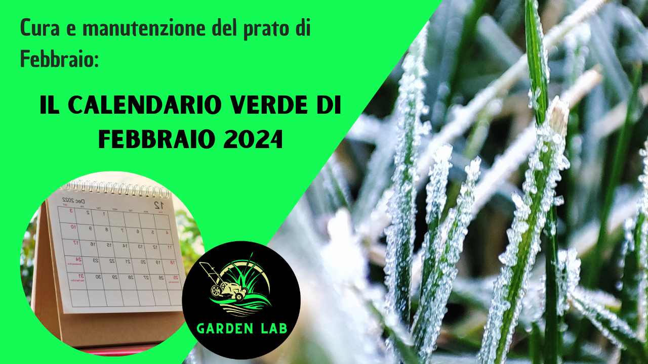 Cura e manutenzione del prato di Febbraio: analizziamo il Calendario Verde di Padana Sementi