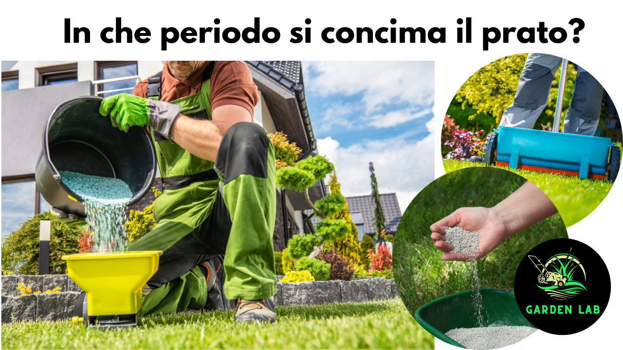 In che periodo si concima il prato? Come e quando concimare il prato