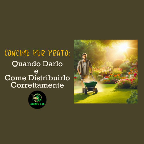 Concime per Prato: Quando Darlo e Come Distribuirlo Correttamente