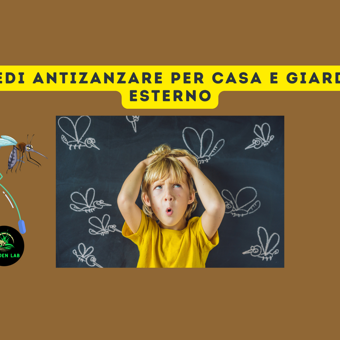 Rimedi Antizanzare per Casa e Giardino Esterno