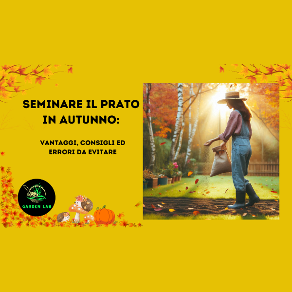 seminare il prato in autunno Vantaggi, Consigli ed Errori da Evitare