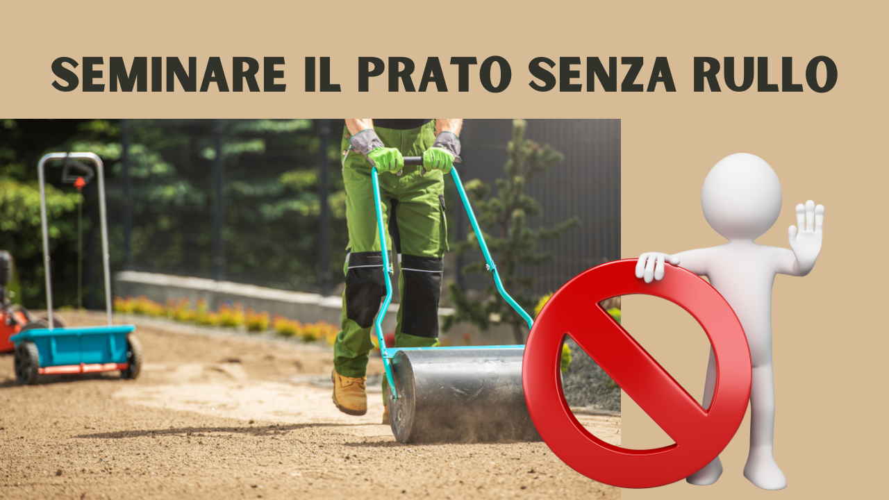 come seminare il prato senza rullo 