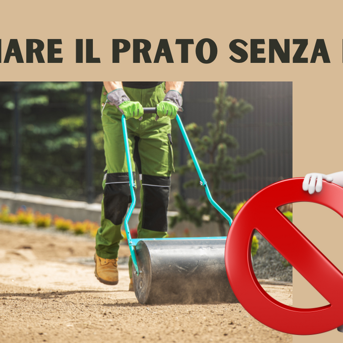 come seminare il prato senza rullo 