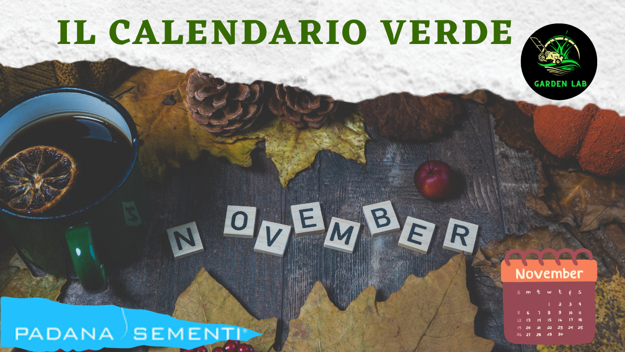 calendario verde padana sementi di novembre cura del prato autunno