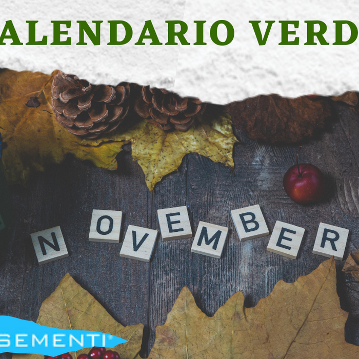 calendario verde padana sementi di novembre cura del prato autunno