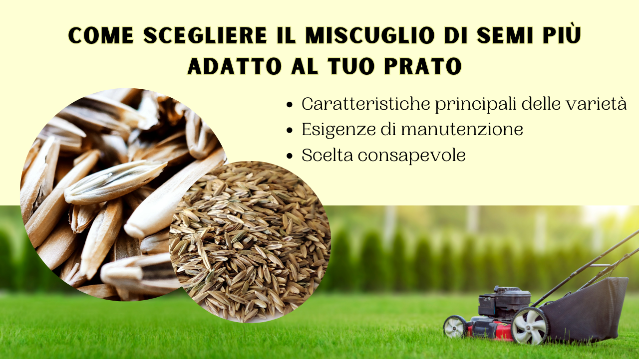caratteristiche principali delle varietà da prato