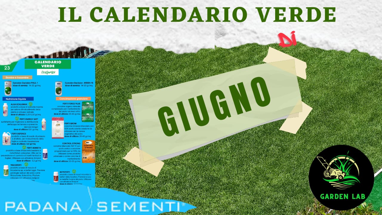 calendario-verde-giugno-cura-del-prato-giugno