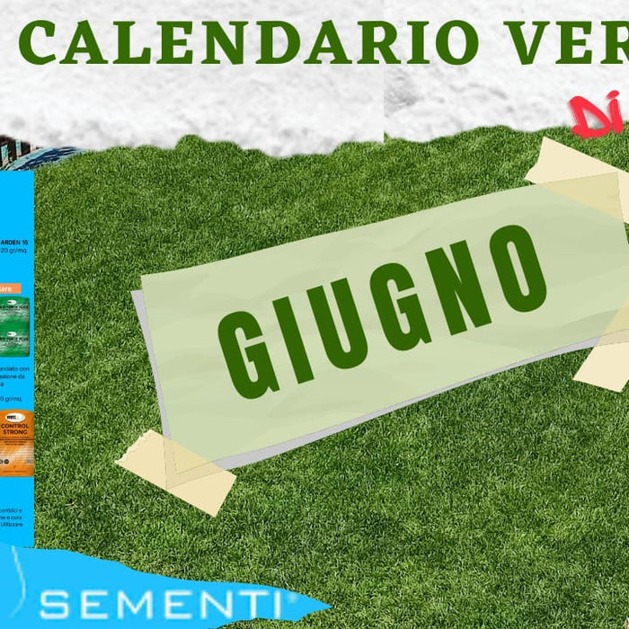 calendario-verde-giugno-cura-del-prato-giugno