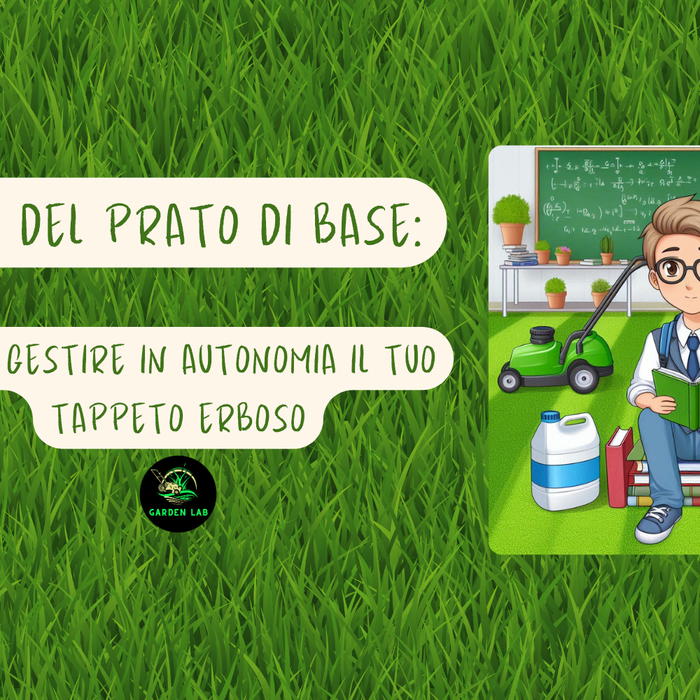 cura del prato di base come gestire in autonomia il tuo tappeto erboso