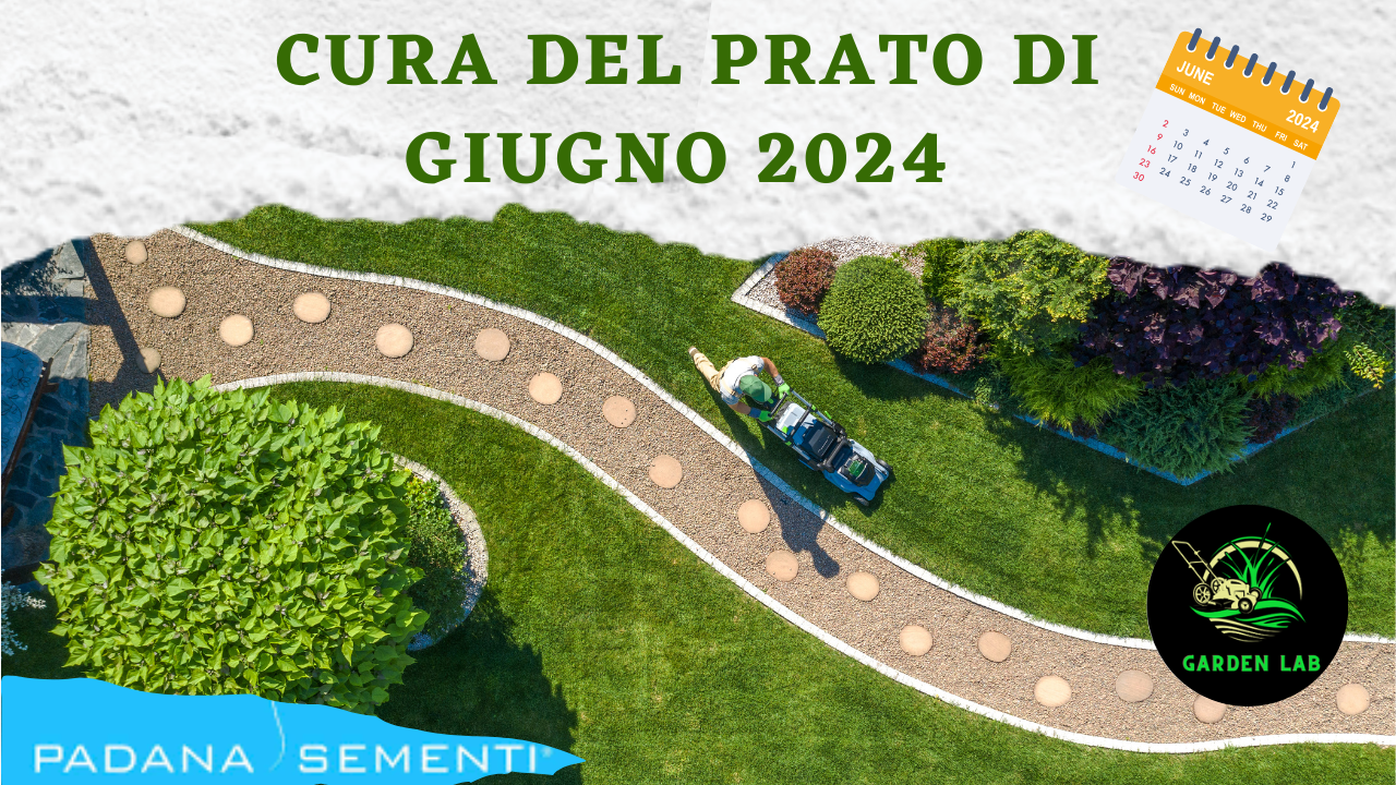 cura del prato di giugno 2024