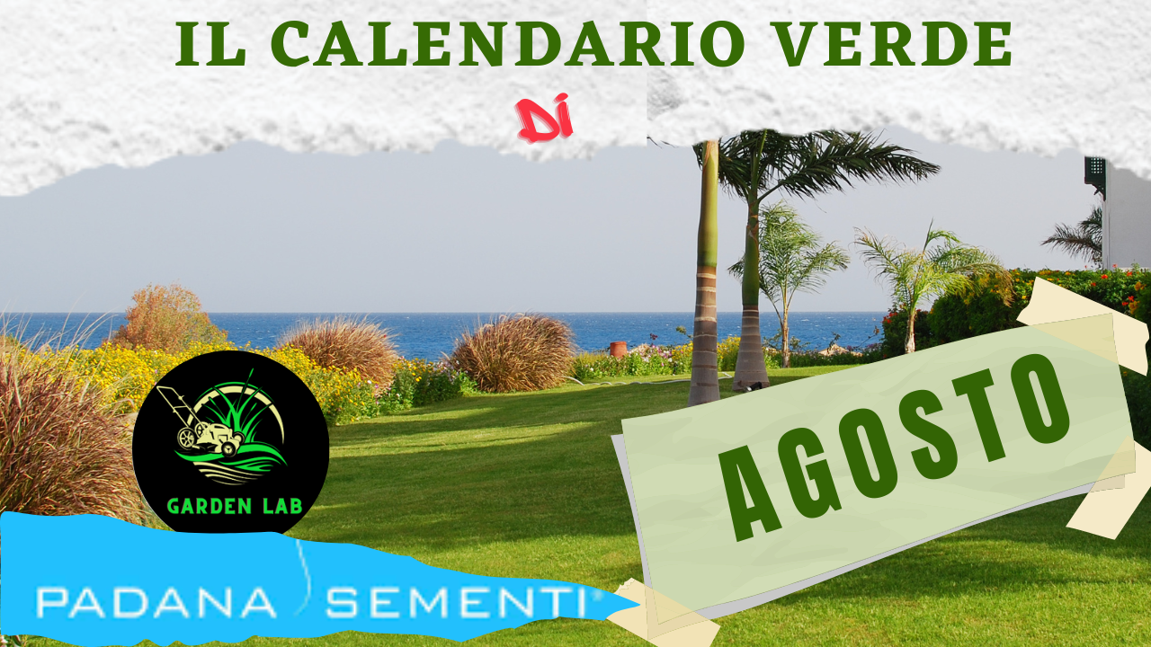 calendario verde prato agosto 