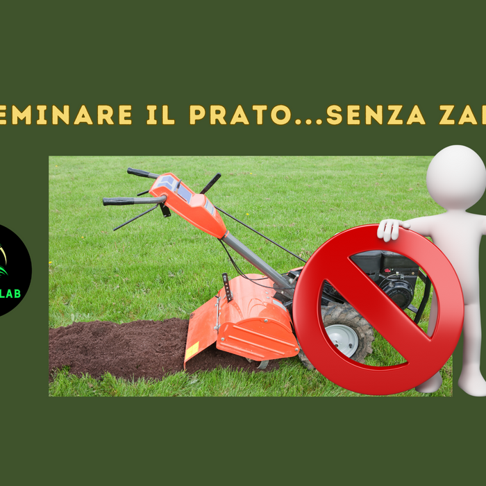 Seminare il Prato Senza Zappare: Come Farlo Correttamente