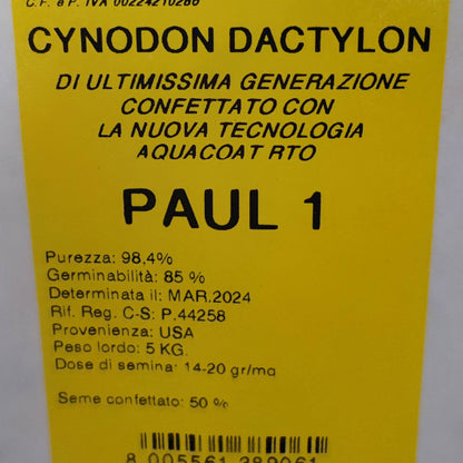 paul 1 cynodon dactylon ultima produzione semi freschi marzo 2024 gramigna
