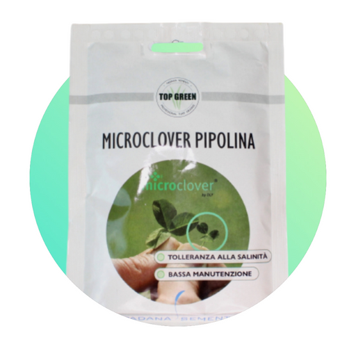 Trifoglio Nanissimo Microclover Pipolina - 100 gr