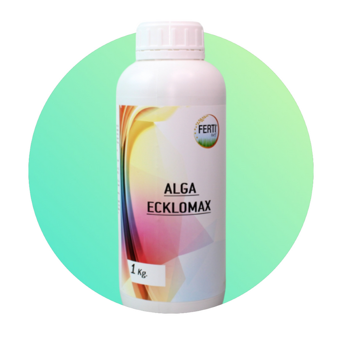 Alga Ecklomax - favorisce lo Sviluppo Radicale del Prato - 1 lt