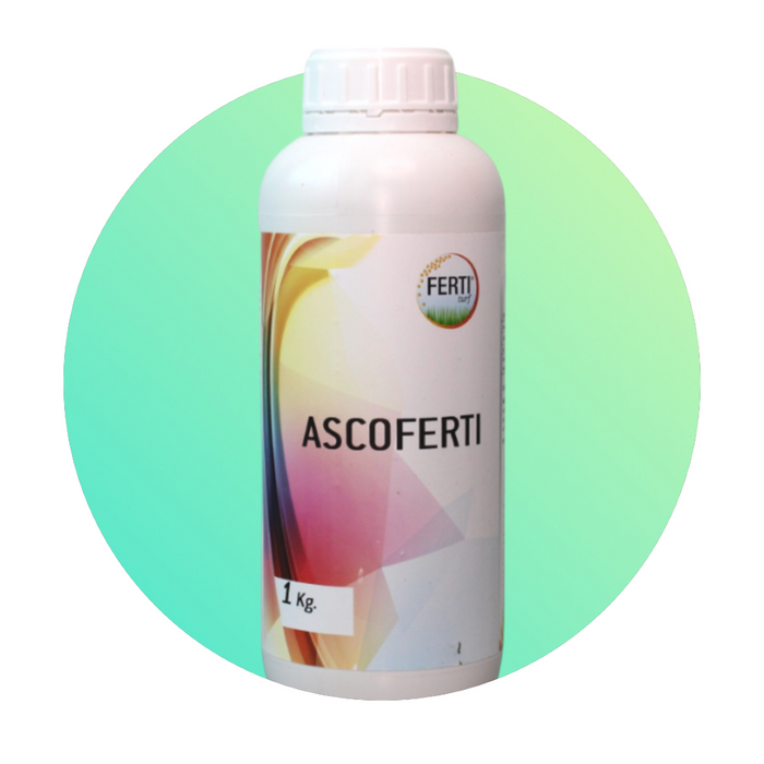 Ascoferti - stimola l'Accestimento del Prato - 1 lt