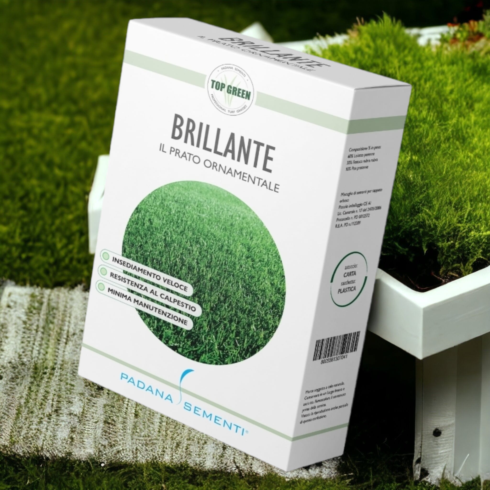 Brillante - Semi per Prato Stabile - 1Kg – Garden Lab Shop semi e ...