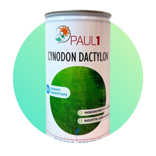 Paul 1 - Cynodon Dactylon Super Veloce - 500 gr