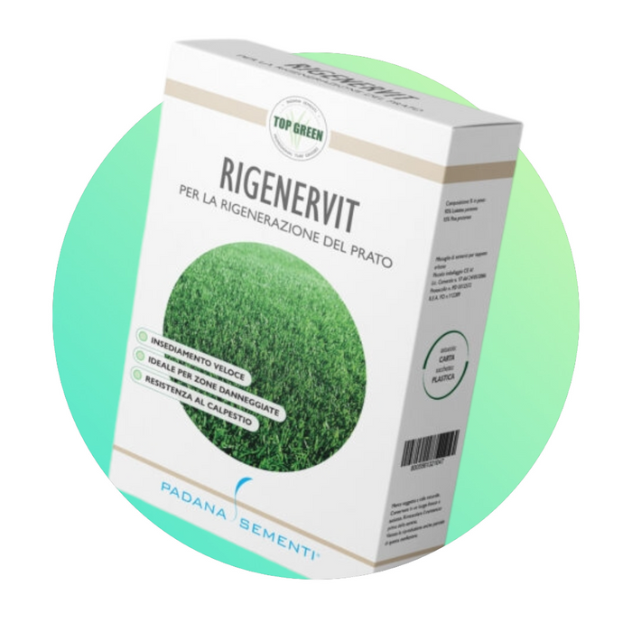 Rigenervit - Semi per la Rigenerazione del Prato - 1 Kg