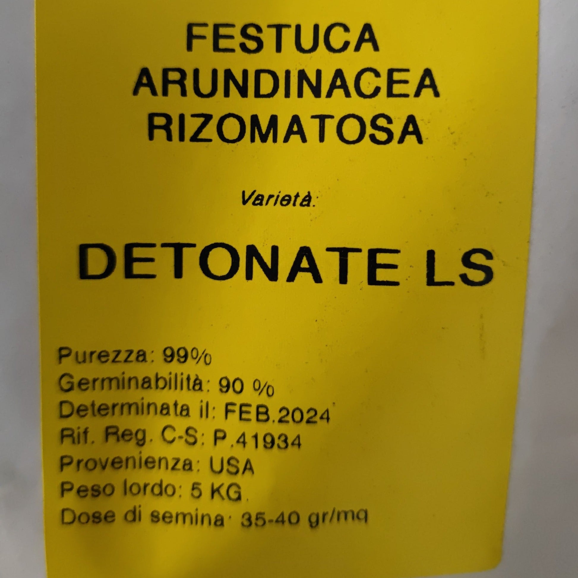 Festuca Arundinacea Detonate in purezza ultimissima produzione sacco 5 kg 