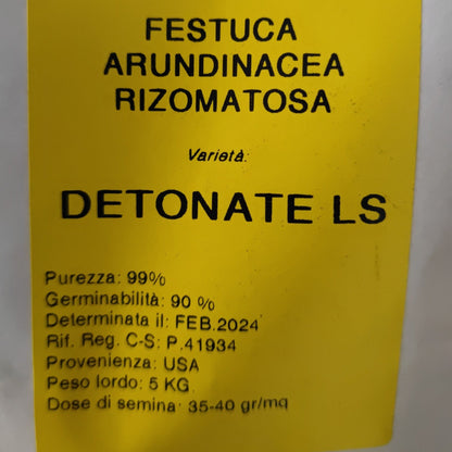 Festuca Arundinacea Detonate in purezza ultimissima produzione sacco 5 kg 