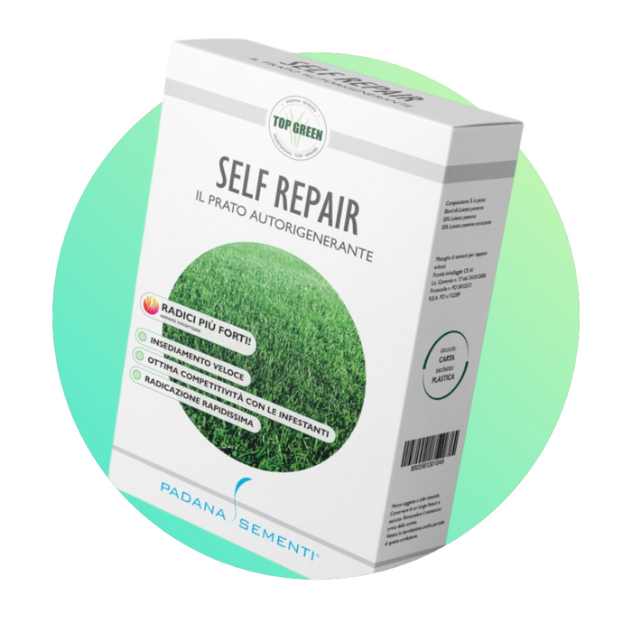 Self Repair - Semi per Prato a Crescita Rapida - 1 Kg 100% Loietto