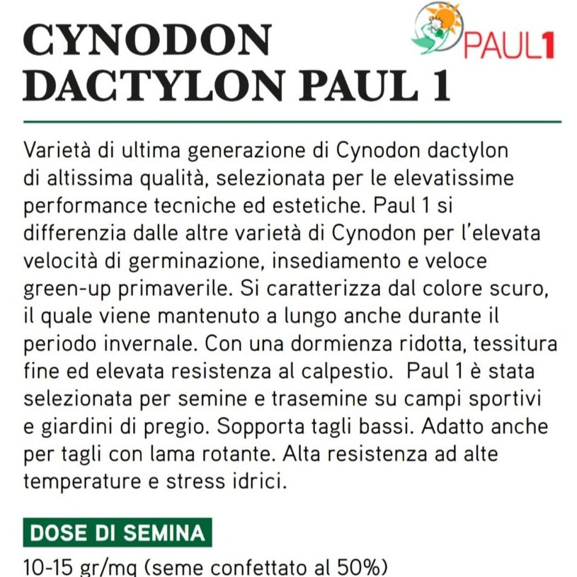 Paul_1_Padana_Sementi_Descrizione_completa